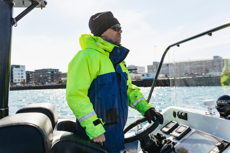 Reykjavik: Valskådningstur med RIB-båt