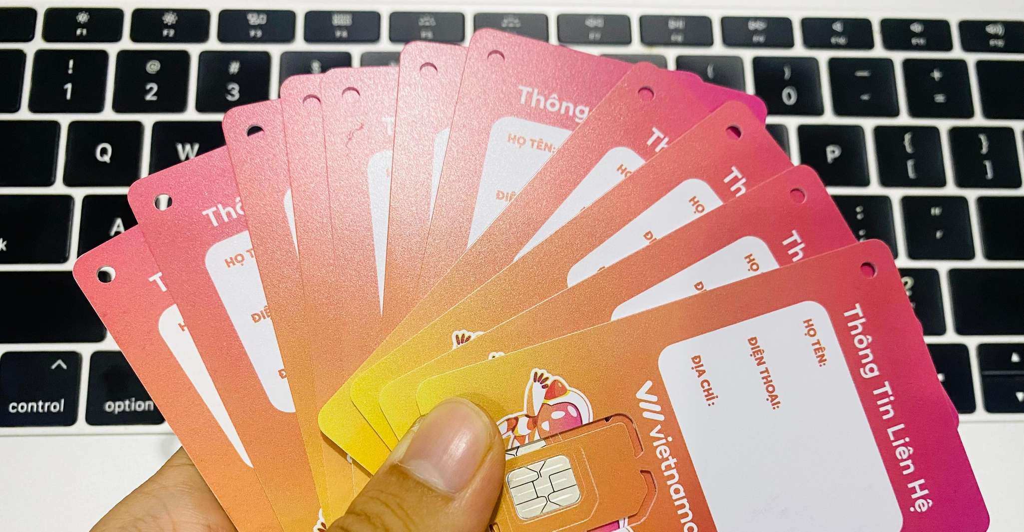 Gegevens sim kaart 5GB/dag = 150 GB/maand ophalen in Phu Quoc - Hizvo