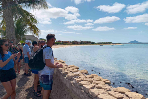 Wyspa Boa Vista: Całodniowe odkrywanie z północy na południeCałodniowa wycieczka po wyspie Boa Vista