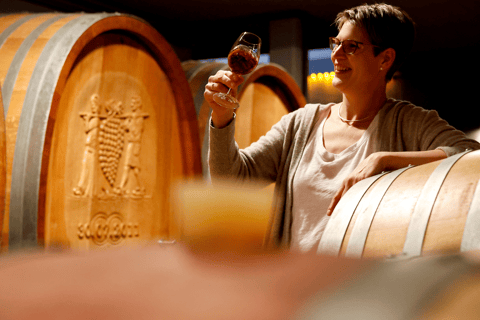 Organic wine discovery tour with tasting at the Mohr-Gutting organic winery (Palatinate)