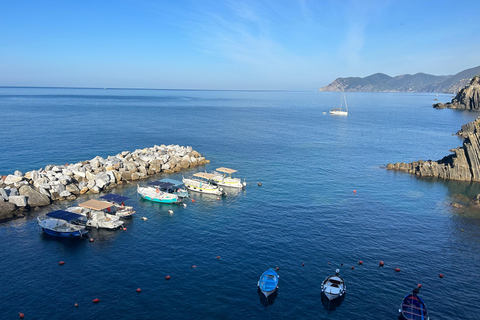 Exklusive Cinque Terre Tagestour mit der Fähre und Halt in Pisa