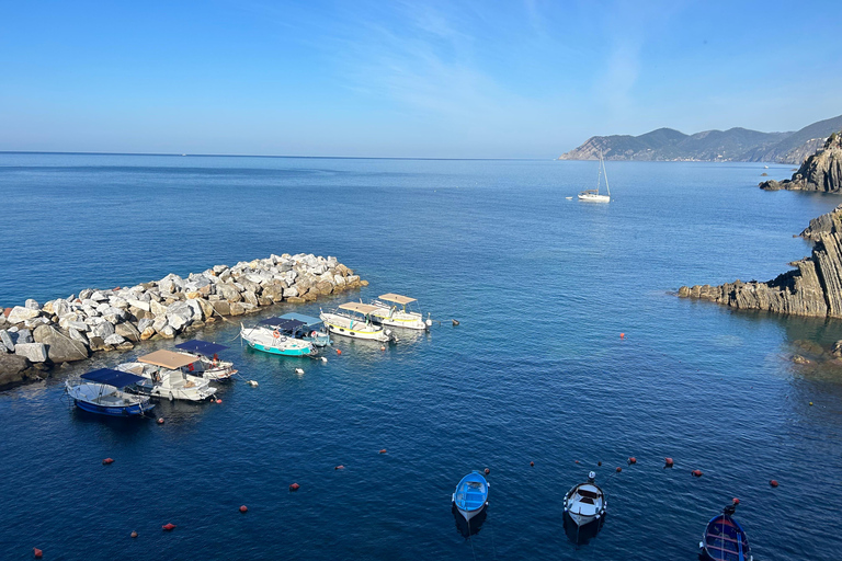 Excursion exclusive d&#039;une journée dans les Cinque Terre en ferry avec arrêt à Pise