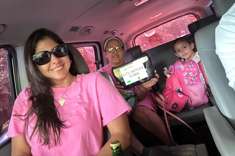 Private Transfer Las Americas Airport to Punta Cana