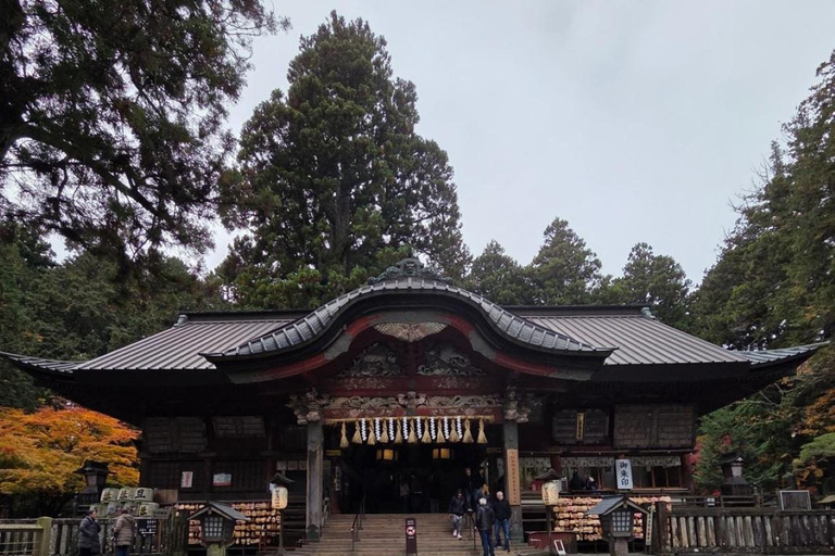 Tokyo:Mount Fuji Explorer Private Tour(Customised)With Guide