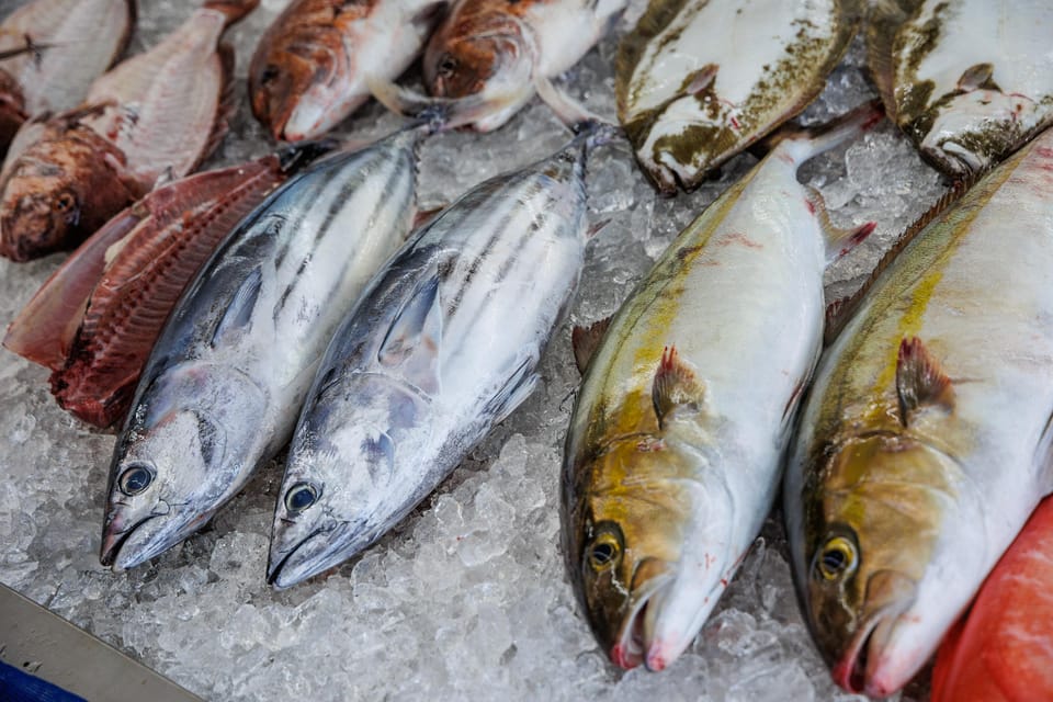 シマ：プレミアム魚市場ツアー、限定裏庭体験