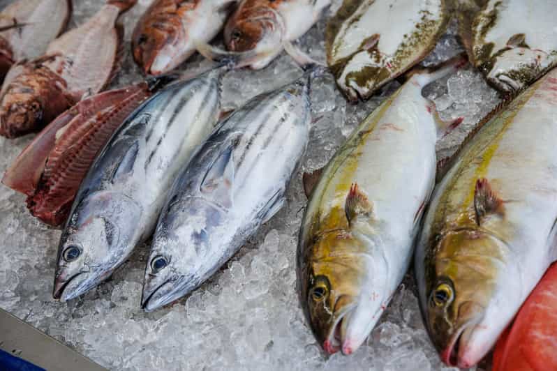 Shima: Premium Fish Shop Tour, Exclusive Backyard Experience