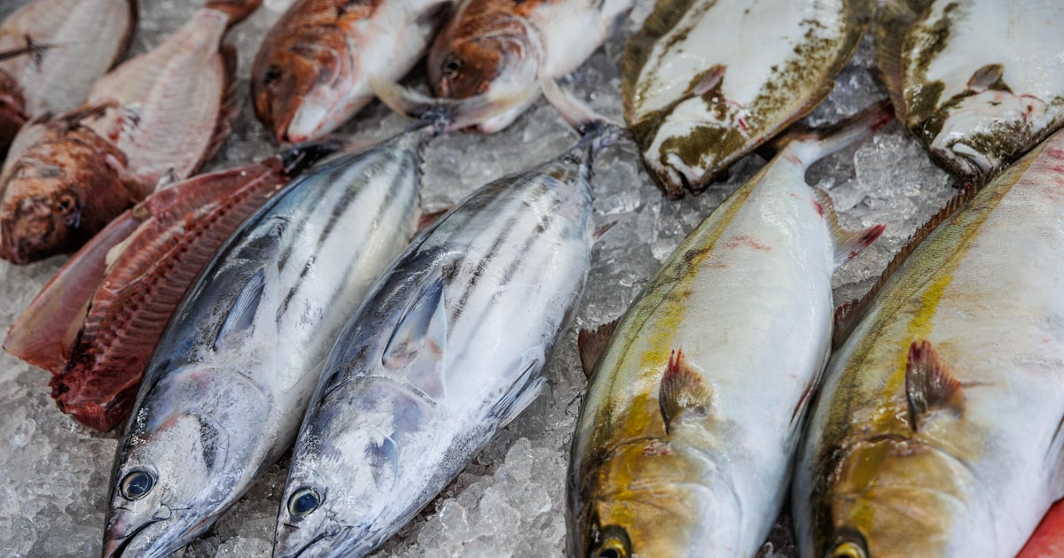 Shima: Premium Fish Shop Tour, Exclusive Backyard Experience | GetYourGuide