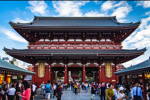 Tokyo: Private Full Day City Tour with English Driver