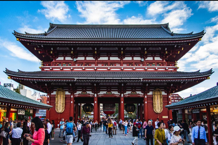 Tokyo: Private Full Day City Tour with English Driver