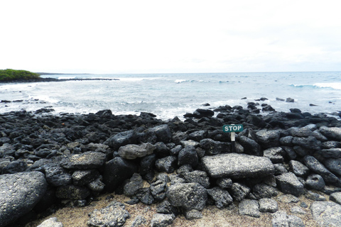 Galapagos Islands - Santa Cruz - 4 days all inclusive ENGLISH GUIDE Santa Cruz - 4 days all inclusive GALAPAGOS ISLANDS