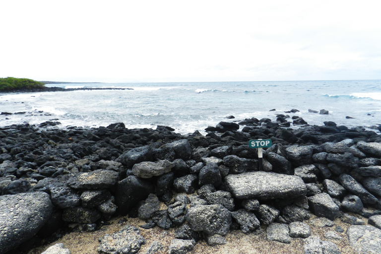 Galapagos Islands - Santa Cruz - 4 days all inclusive ENGLISH GUIDE Santa Cruz - 4 days all inclusive GALAPAGOS ISLANDS