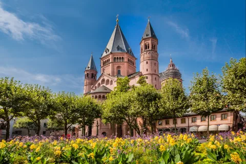 Desde Frankfurt: Billete de tren de Maguncia y visita guiada