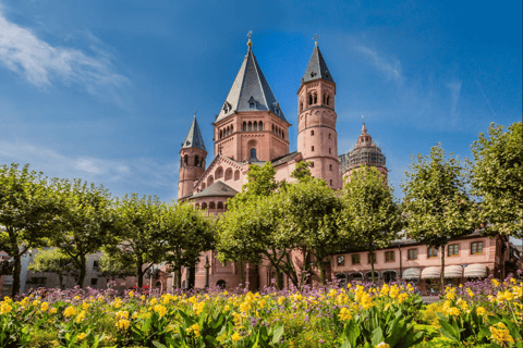 Germania: Tour in treno da Francoforte a Magonza