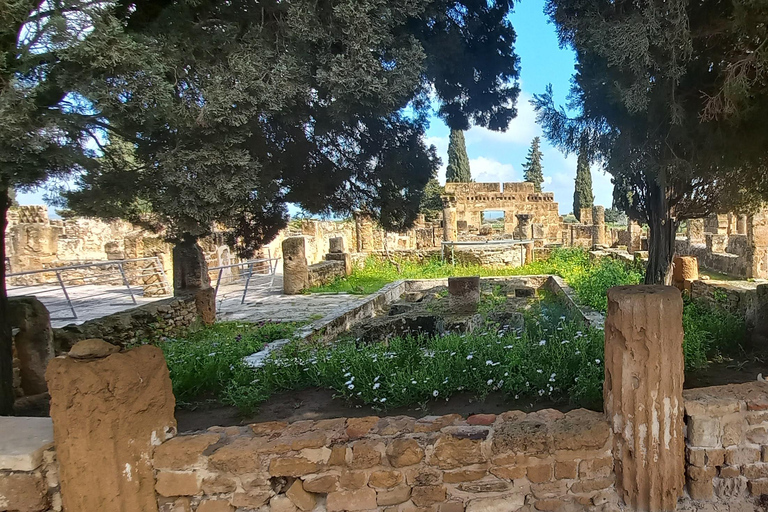 Tunis: 2-Day North Africa Highlights Tour & 1-Night Tabarka