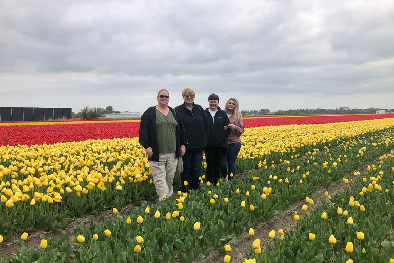 Keukenhof, fazenda de tulipas, campos de flores e Delft Blue