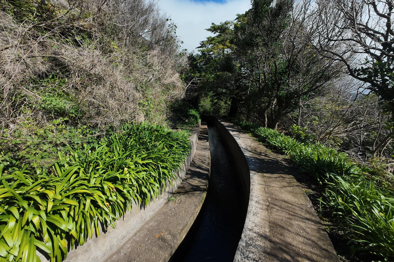 Madeira: PR17 Bica da Cana Encumeada Guided Hike with Pickup Madeira: Bica da Cana to Encumeada Guided Hike with Pickup