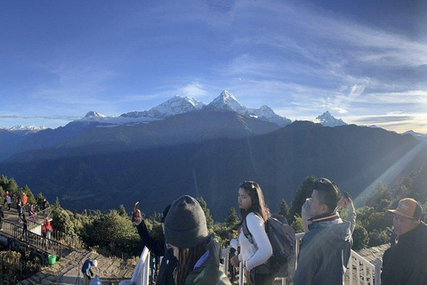 Pokhara: 5-Day Poon Hill Trek with Guide and Transfers
