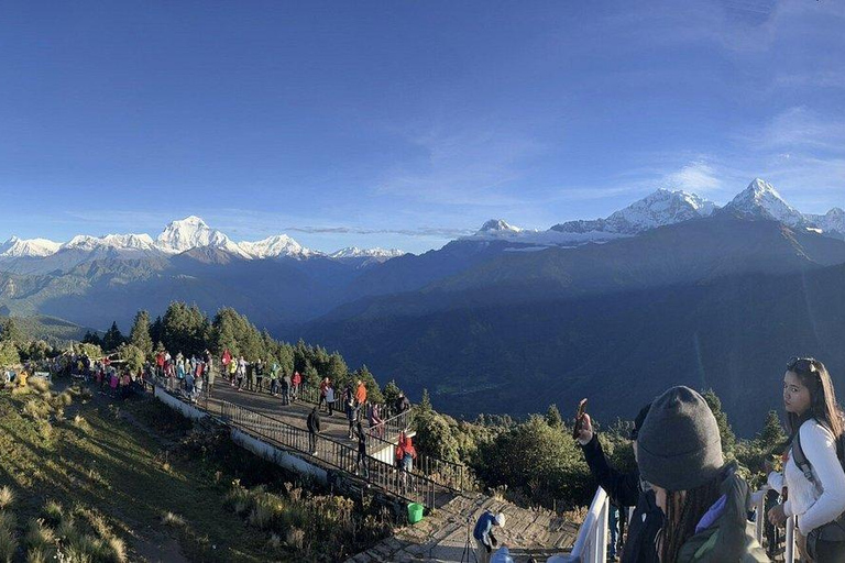Pokhara: 5-Day Poon Hill Trek with Guide and Transfers