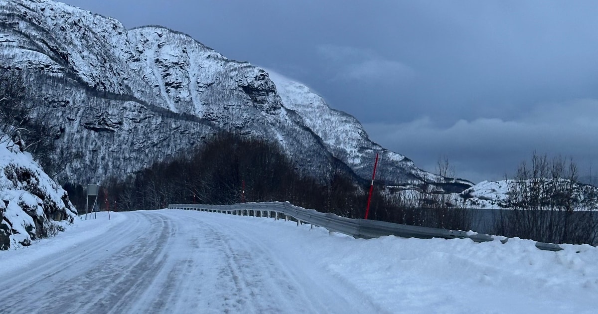 Narvik/Harstad:Day tour of Fjords with stop at Reindeer farm | GetYourGuide