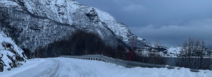 Narvik/Harstad : Excursion d'une journée dans les Fjords avec arrêt à la ferme des rennes