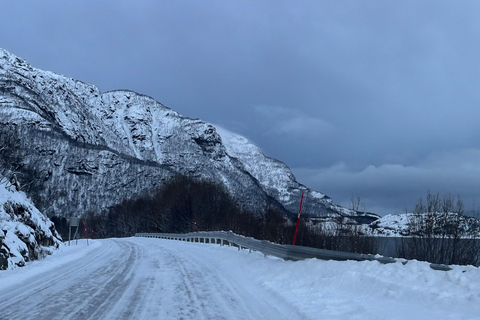 Narvik/Harstad: Dagtocht langs de Fjorden met stop bij rendierboerderij