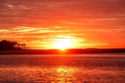 Charleston: Dolphin Discovery Sunset Cruise
