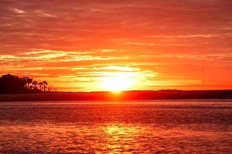 Charleston: Dolphin Discovery Sunset Cruise