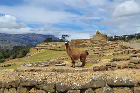 Ingapirca Ruins and Inca Face Small Group Tour from Cuenca.