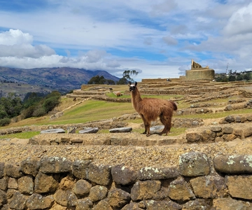Visita as Ruínas de Ingapirca e a Face Inca em pequenos grupos saindo de Cuenca.