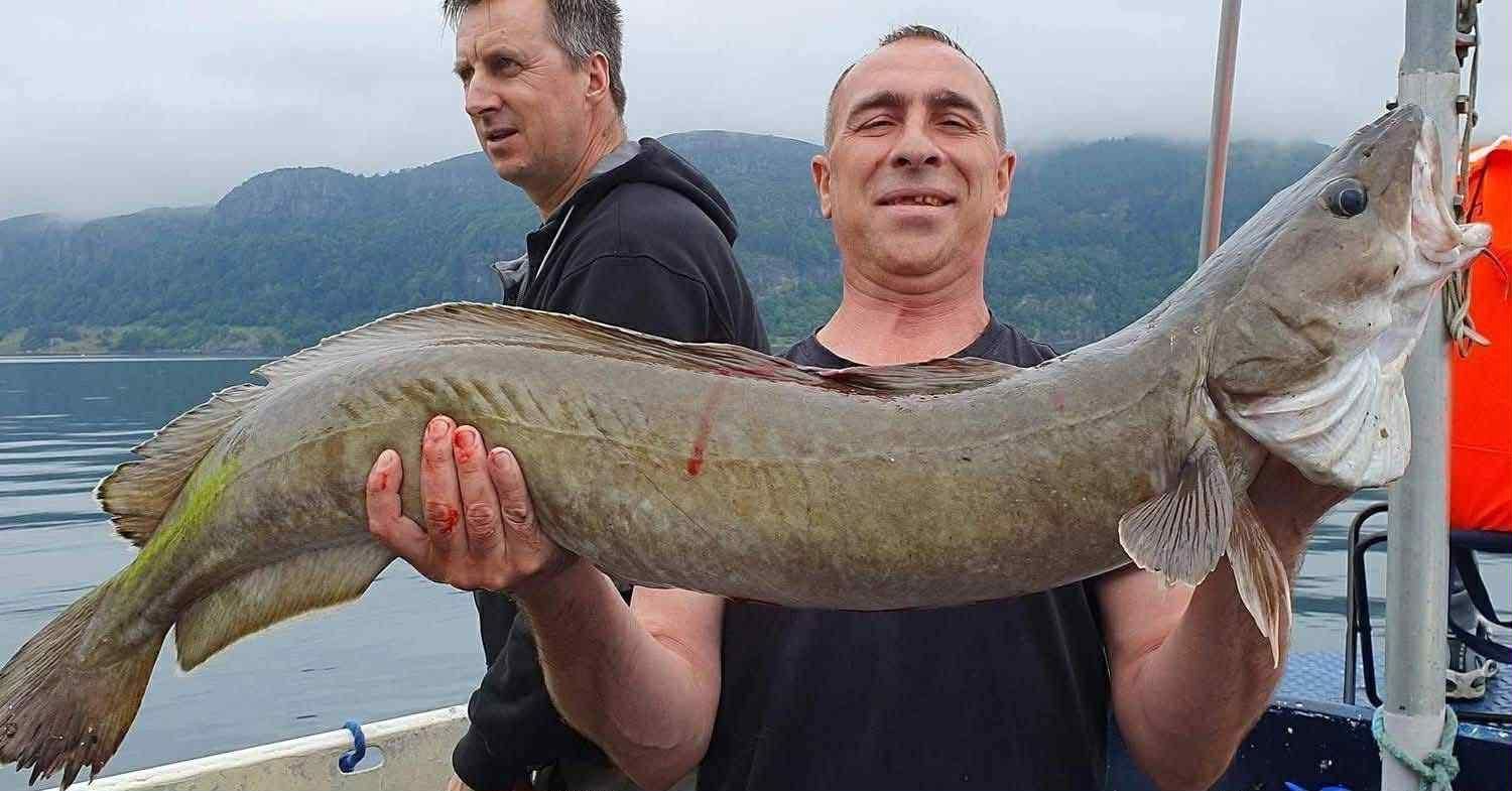 Stavanger: 5-stündiger Angelausflug mit Ausrüstung und Guide