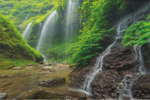 Yogyakarta: Bromo, Madakaripura, & Ijen Private Tour to Bali