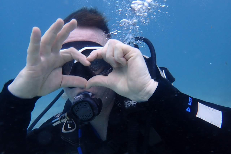 Zanzibar: Upptäck dykningKizimkazi: Menai Bay – upptäck dykning