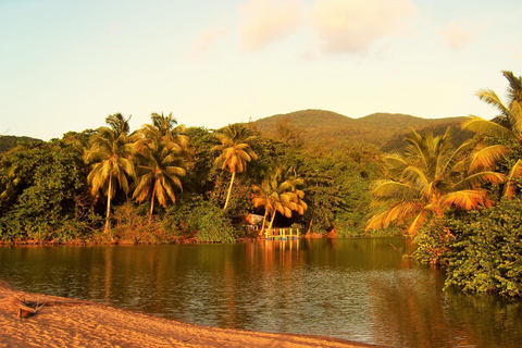 Pointe-à-Pitre: tour a piedi con guida e trasferimentoPointe-à-Pitre: tour a piedi con guida e servizio di trasferimento