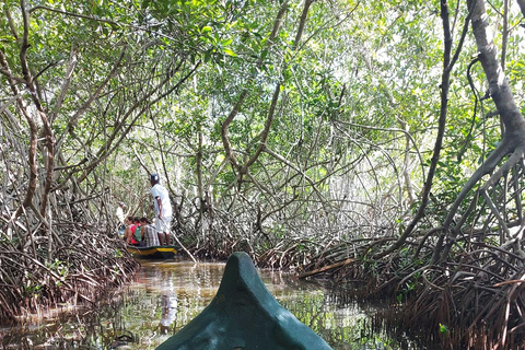 CARTAGENA: Vulkaan del totumo, Galerazamba en Manglar de la Boquilla Route