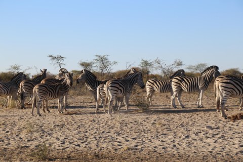 5-Day Explore Zimbabwe, Zambia and Botswana