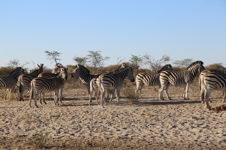 5-Day Explore Zimbabwe, Zambia and Botswana