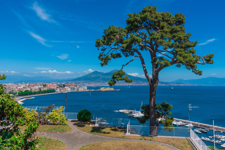 From Naples: Pompei and Naples Tour with tickets included Private tour with driver only - Pompeii tickets included