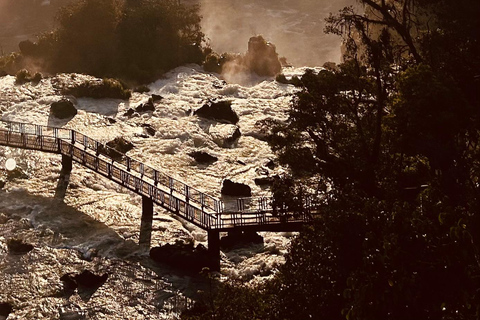 Visite privée des chutes d&#039;Iguaçu côté brésilien et argentin