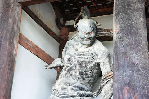 Excursión Privada de un Día a lo Más Destacado de Nara y Osaka