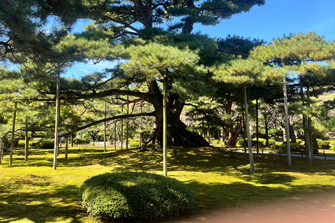 Kanazawa: Walking & Calligraphy Tour with an ex-Pro Athlete