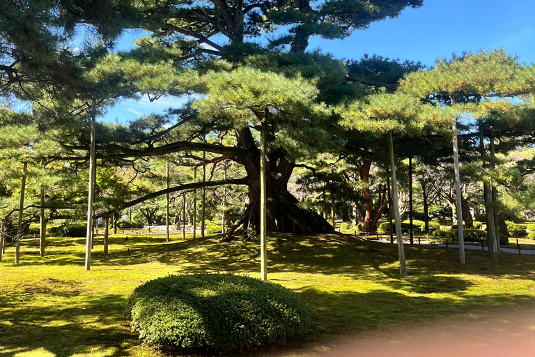 Kanazawa: Walking & Calligraphy Tour with an ex-Pro Athlete