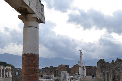 Excursion sur la côte de Pompéi et d'Herculanum avec un archéologue