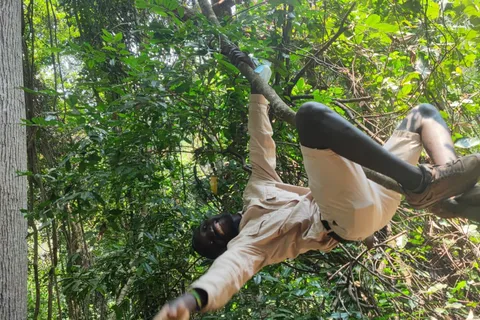 Chimpanzee track in Gombe national park