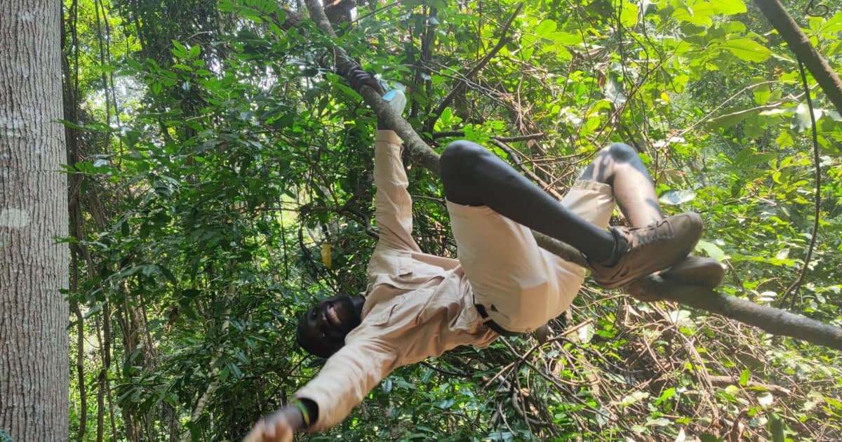 Pista degli scimpanzé nel parco nazionale di Gombe GetYourGuide