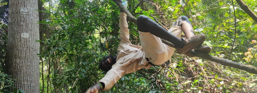 Pistage des chimpanzés dans le parc national de Gombe