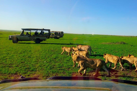 Excursion d&#039;une journée dans le parc national du Masai Mara et visite du village Masai