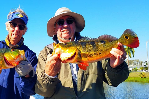 Peacock Bass Fishing Trips Near Miami Florida Peacock Bass Fishing Trips Near Miami Florida