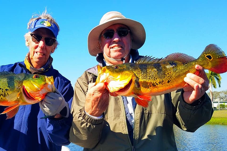 Peacock Bass Fishing Trips Near Miami Florida Peacock Bass Fishing Trips Near Miami Florida