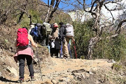 Pokhara: Annapurna base camp Trek with Female Guide