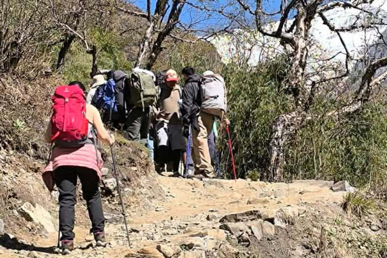 Pokhara: Annapurna base camp Trek with Female Guide